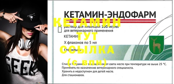 индика Вяземский
