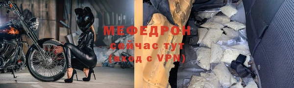 индика Вяземский