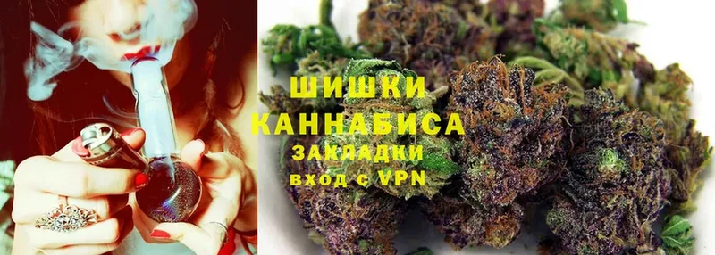 Каннабис семена  где найти   Георгиевск 